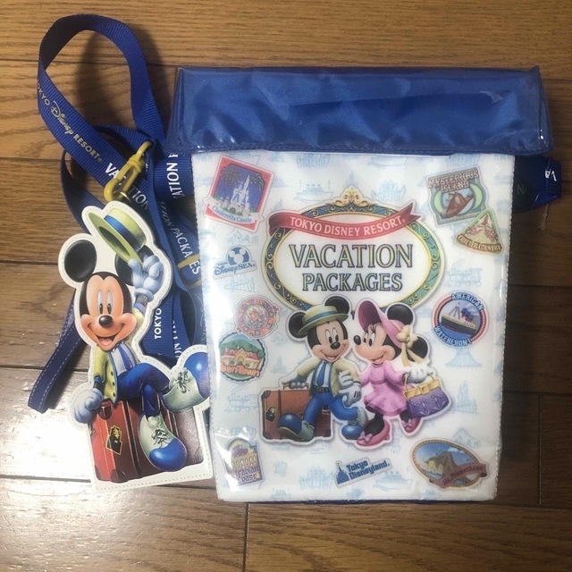 Disney(ディズニー)のディズニーバケーションパッケージ　ポップコーンケース　パスケースセット チケットの施設利用券(遊園地/テーマパーク)の商品写真