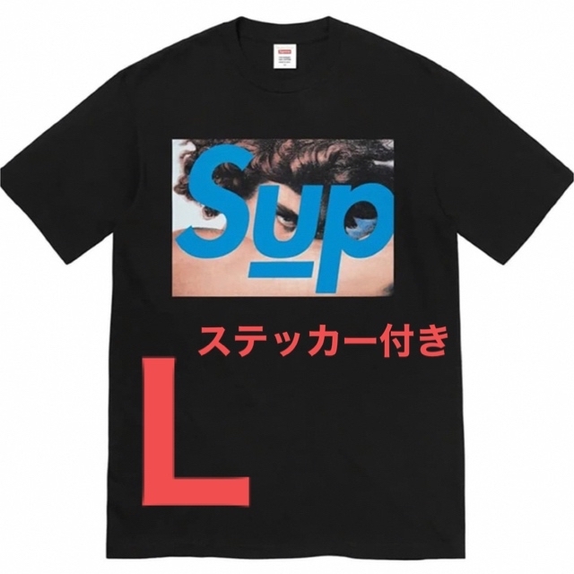 supreme/undercover tag tee
