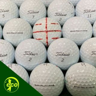 タイトリスト(Titleist)の タイトリスト Pro V1 21年モデル ホワイト ロストボール 30球 B(その他)