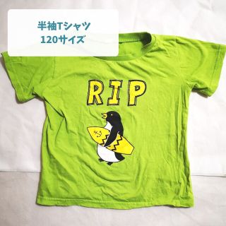 子ども服 男の子 ボーイズ 半袖 Tシャツ 120サイズ 保育園 幼稚園(Tシャツ/カットソー)