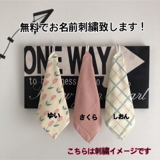 mao様専用です！　6枚セット♪(外出用品)