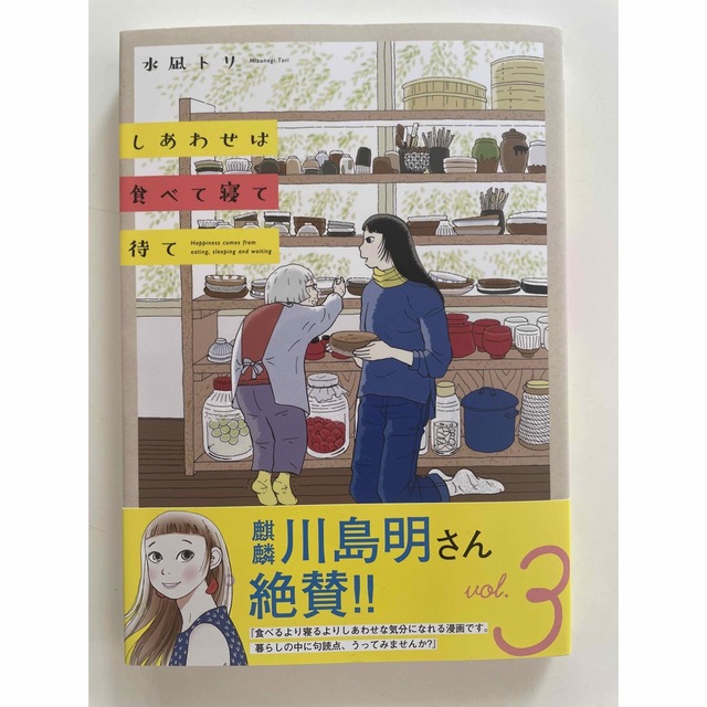 しあわせは食べて寝て待て ３ エンタメ/ホビーの漫画(その他)の商品写真