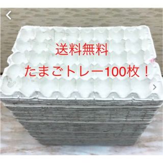 使い方いろいろ たまご紙トレー100枚 送料無料 新生活 引越し DIY(爬虫類/両生類用品)