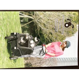 エアバギー(AIRBUGGY)のエアバギー　AirBuggy  for  Dog   Twinkle(犬)