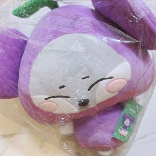 ビクトン(victon)のVICTON トニミニ ポヤ ぬいぐるみ スンウ(アイドルグッズ)