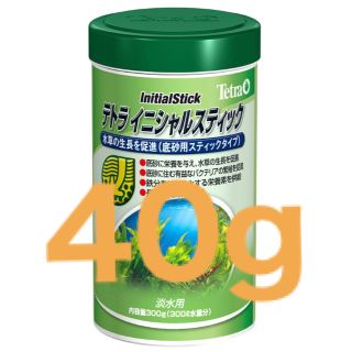 テトラ(Tetra)のテトラ　イニシャルスティック　40g(アクアリウム)