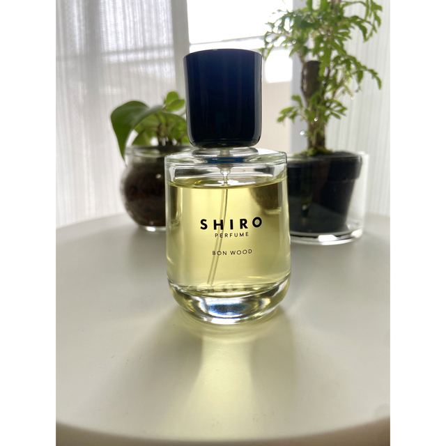 shiro(シロ)のshiro perfume 【BON WOOD】 オードパルファン コスメ/美容の香水(ユニセックス)の商品写真