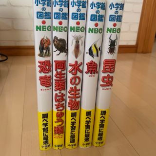 ショウガクカン(小学館)の図鑑セット★キレイNEO 恐竜、両生類はちゅう類、昆虫、水の生物、魚★5冊セット(絵本/児童書)