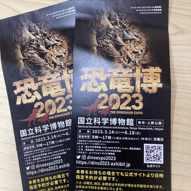 恐竜博2023チケット　２枚セット