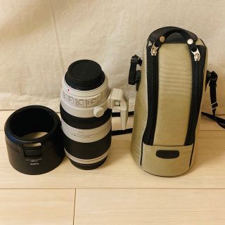 キヤノン(Canon)のCANON EF100-400 4.5-5.6 IS II USM 望遠ズーム(レンズ(ズーム))