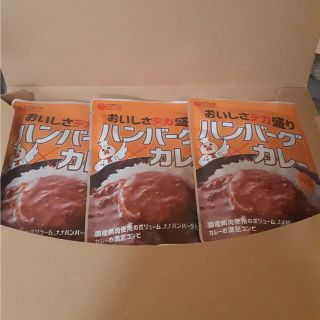非常食 常温長期保存 ハンバーグカレー3パック(防災関連グッズ)