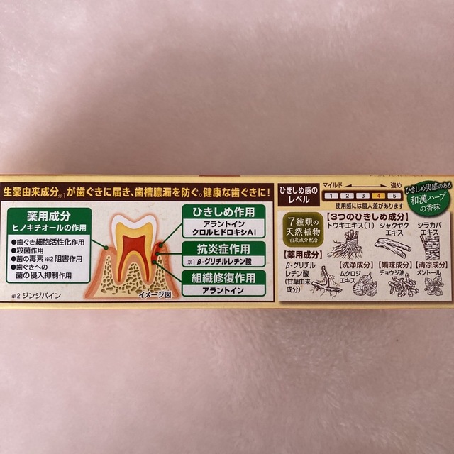 小林製薬(コバヤシセイヤク)の小林製薬 薬用 生葉 Hc 100ｇ × 6 コスメ/美容のオーラルケア(歯磨き粉)の商品写真