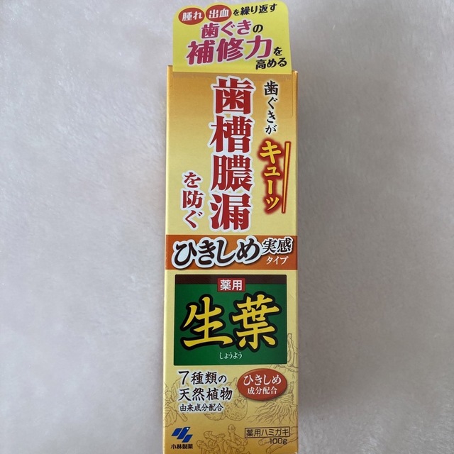 小林製薬(コバヤシセイヤク)の小林製薬 薬用 生葉 Hc 100ｇ × 6 コスメ/美容のオーラルケア(歯磨き粉)の商品写真