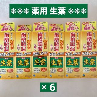 コバヤシセイヤク(小林製薬)の小林製薬 薬用 生葉 Hc 100ｇ × 6(歯磨き粉)