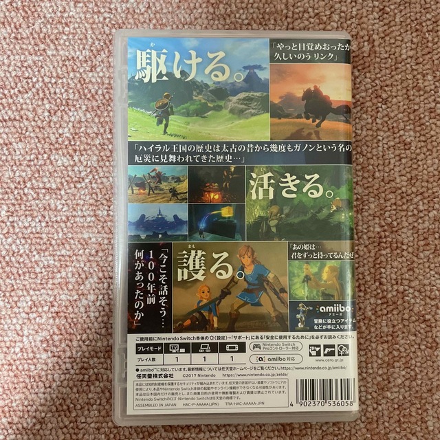 ゼルダの伝説 ブレス オブ ザ ワイルド Switch 1