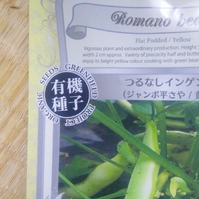 つるなしインゲン種2袋 食品/飲料/酒の食品(野菜)の商品写真