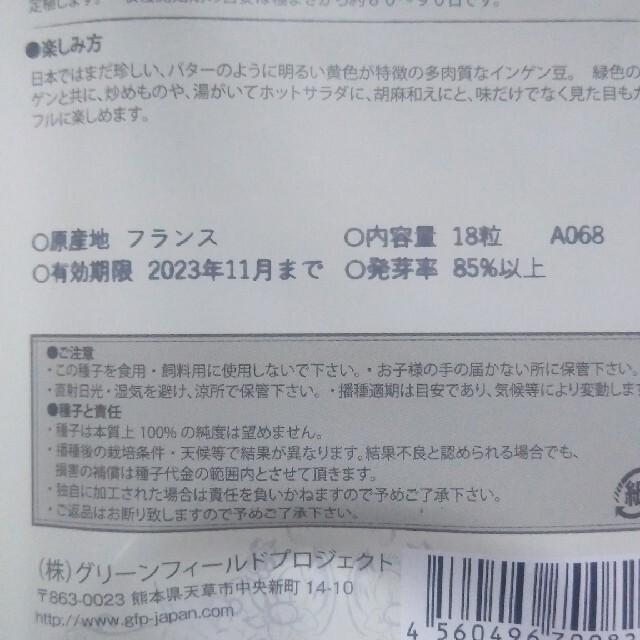 つるなしインゲン種2袋 食品/飲料/酒の食品(野菜)の商品写真