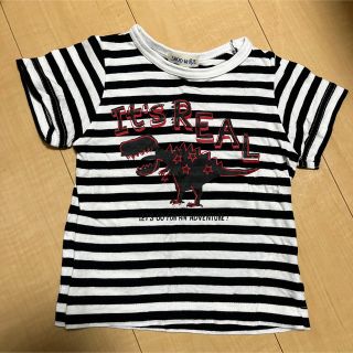 シューラルー(SHOO・LA・RUE)のSHOO・LA・RUE☆恐竜ボーダーTシャツ(Tシャツ/カットソー)