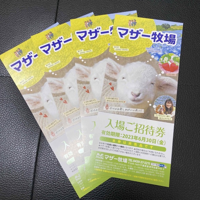 即納 マザー牧場 割引券 入場券 入園券 2名分 無料券 優待券