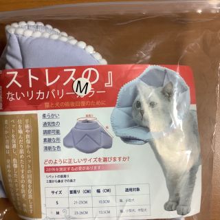 エリザベスカラー　猫用(猫)