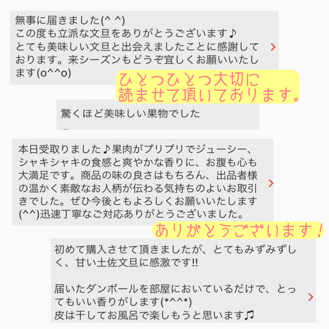 土佐文旦　ぶんたん　柑橘　 10kg 3Lサイズ 食品/飲料/酒の食品(フルーツ)の商品写真