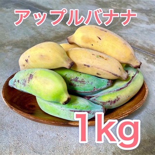 沖縄県産 無農薬 アップルバナナ(フルーツ)