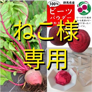 【群馬県産】ビーツパウダー 3g × 30個 微粉末タイプ(その他)