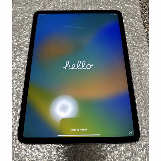 ipad pro 9.7 32gb au  値下げ不可