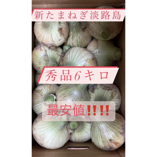 新たまねぎ　淡路島　6キロ(野菜)