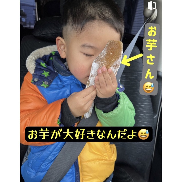 大人気　　無添加　　昔ながらの干し芋5kg 食品/飲料/酒の食品(フルーツ)の商品写真