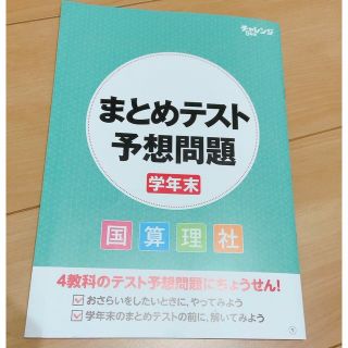 ベネッセ(Benesse)のチャレンジ5年生まとめテスト予想問題(語学/参考書)