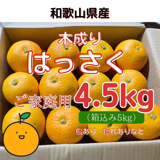 【訳ありご家庭用】和歌山県産・木成りはっさく4.5kg・ 食品/飲料/酒の食品(フルーツ)の商品写真