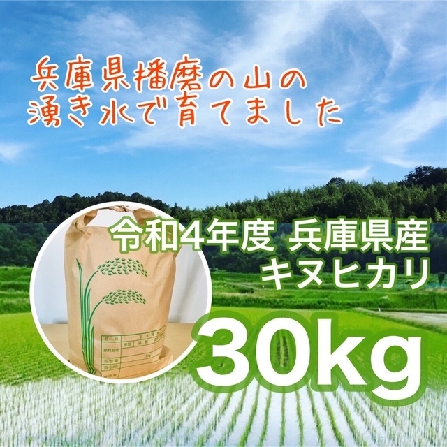 兵庫県産キヌヒカリ　6944円　30kg　あなたのお気に入り見つけよう　農家直送のお米　山の湧き水で育てた