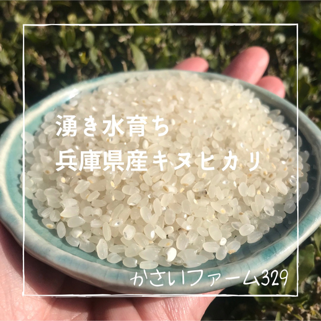 山の湧き水で育てた 農家のお米 兵庫県産キヌヒカリ 30kg 米/穀物 山の湧き水で育てた 農家のお米 兵庫県産キヌヒカリ 30kg 米/穀物