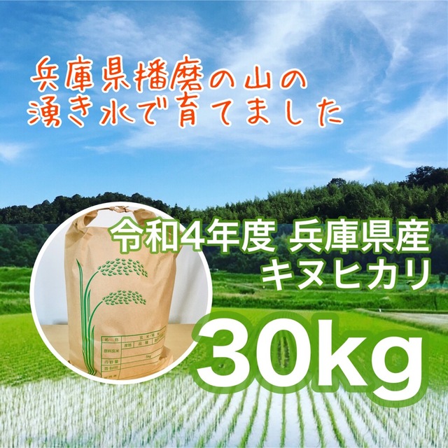 山の湧き水で育てた 農家のお米 兵庫県産キヌヒカリ 30kg 米/ 山の湧き水で育てた 農家のお米 兵庫県産キヌヒカリ 30kg 米/
