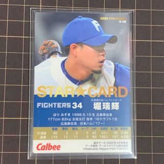 北海道日本ハムファイターズ 堀瑞輝 タオル ユニフォーム Sサイズ