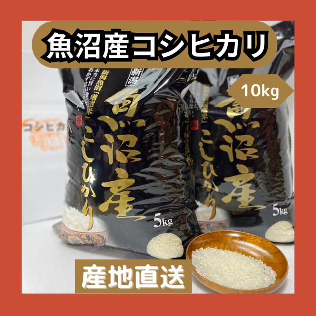 魚沼産コシヒカリ　新米】令和4年産　10kg　農家のお米　米/穀物