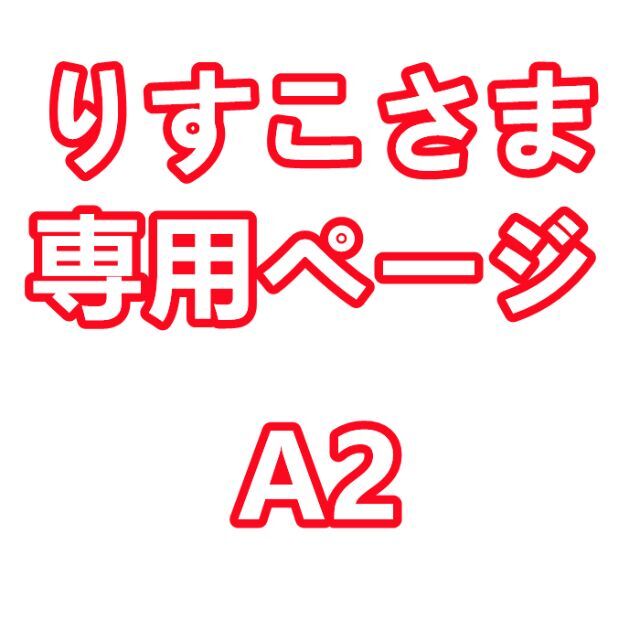 りすこさま 専用ページ A2