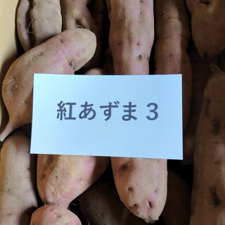 紅あずま　3(野菜)