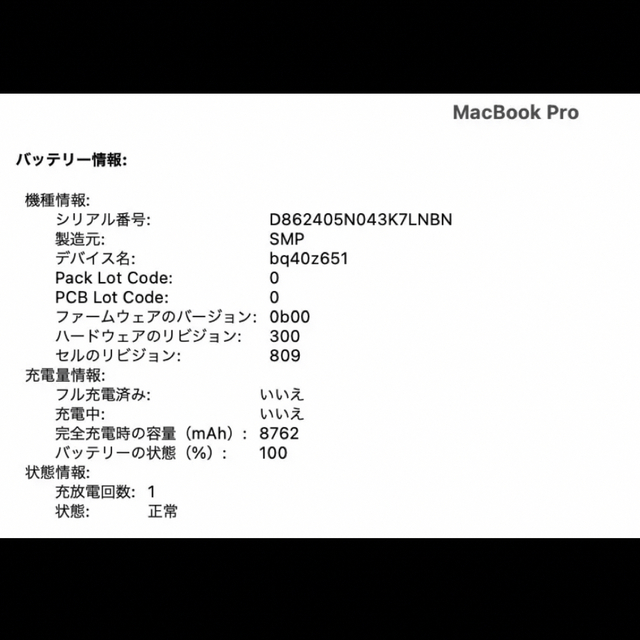 MacBook Pro 16-inch, 2019 シルバー