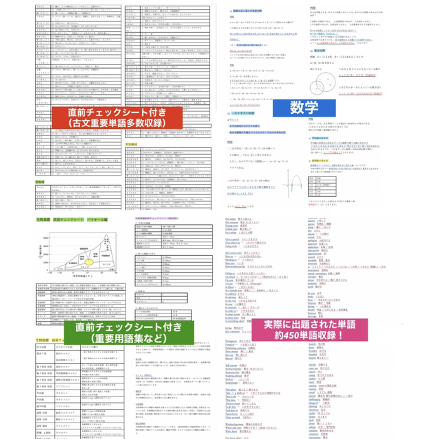 高卒認定まとめノート　8科目カラーコピー