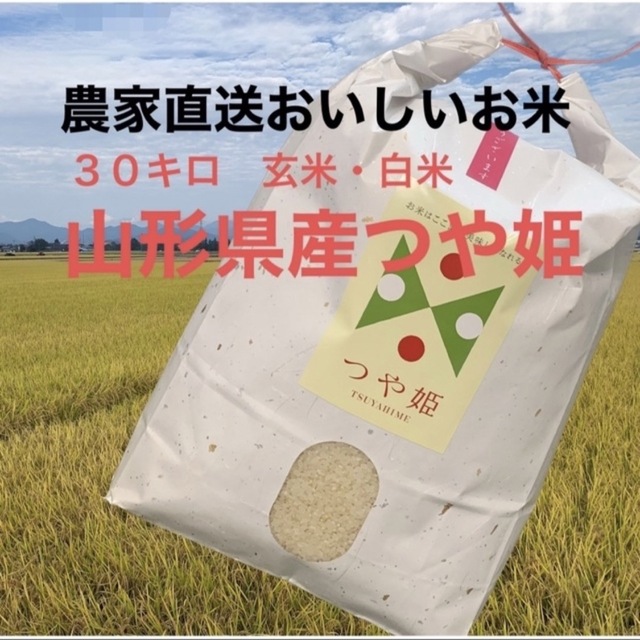 米/穀物　令和４年　玄米３０キロ　山形県産つや姫　農家直送