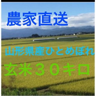 令和４年山形県産　ひとめぼれ　玄米３０キロ(米/穀物)