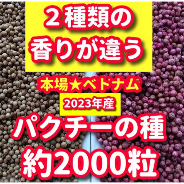 パクチーの種・各種10g【合計約2000粒】★違いを楽しむ・令和5年産 食品/飲料/酒の食品(野菜)の商品写真