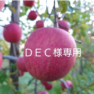 【DEC様専用】(フルーツ)