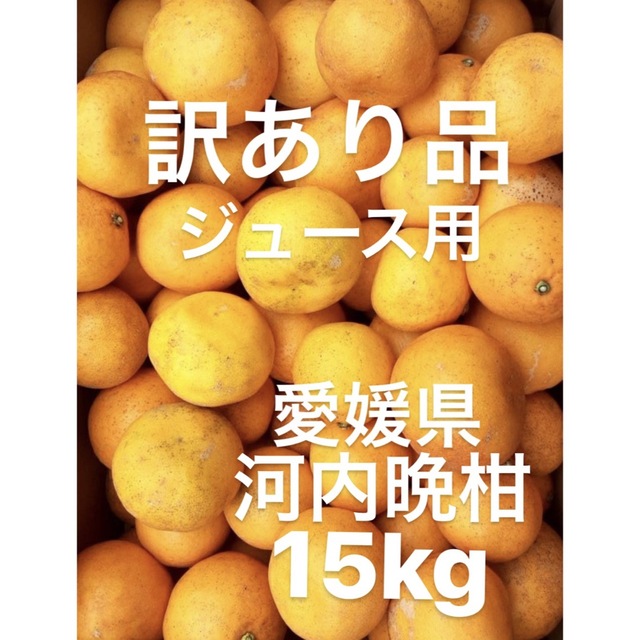 訳あり品　愛媛県産　宇和ゴールド　河内晩柑　柑橘　ジュース用　15kg 食品/飲料/酒の食品(フルーツ)の商品写真