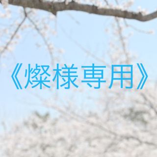 《燦様専用》(その他)