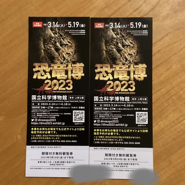 特別展 恐竜博2023 期限付き無料観覧券×２枚