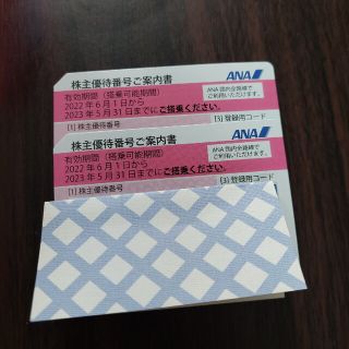 エーエヌエー(ゼンニッポンクウユ)(ANA(全日本空輸))のANA株主優待券2枚セット(ショッピング)