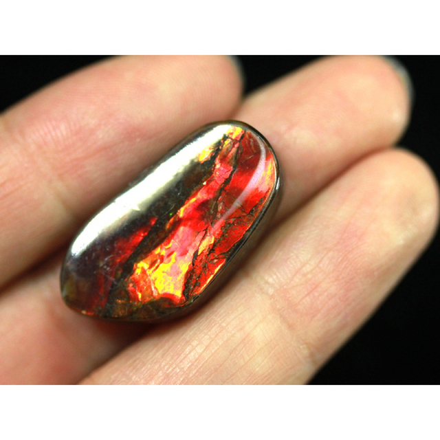 宝石ルース アンモライト 化石 Ammolite /約9.8g/1個 カナダ産